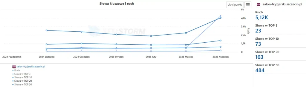 Opieka i Pozycjonowanie SEO Stron www 10 analiza-salon