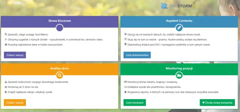 Semstorm – co to jest i jak działa w praktyce? 2 semstorm-panel