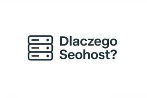 seohost-dlaczego