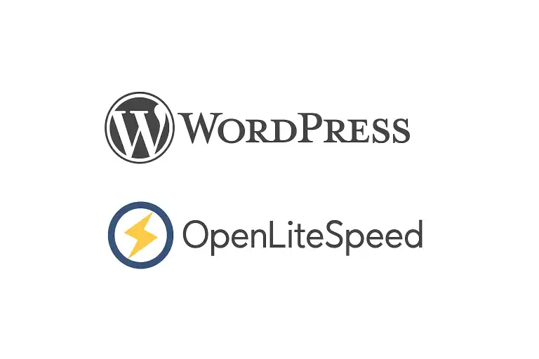WordPress z OpenLiteSpeed – jak przyspieszyć stronę 2 wp-ols